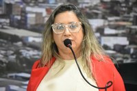 Moana Meira propôs instituição do Programa Busca Ativa nas escolas municipais